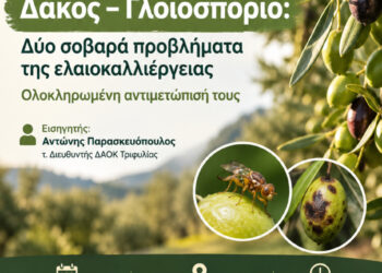 ΔΗΜΟΣ ΑΡΧΑΙΑΣ ΟΛΥΜΠΙΑΣ: Ημερίδα του Δήμου για την ελαιοκαλλιέργεια: «Δάκος – Γλοιοσπόριο: Δύο σοβαρά προβλήματα της ελαιοκαλλιέργειας – Ολοκληρωμένη αντιμετώπισή τους